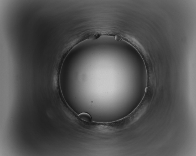 X0000100490393200806131254