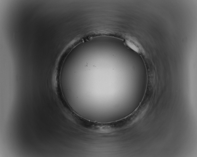 X0000100490395200806131254