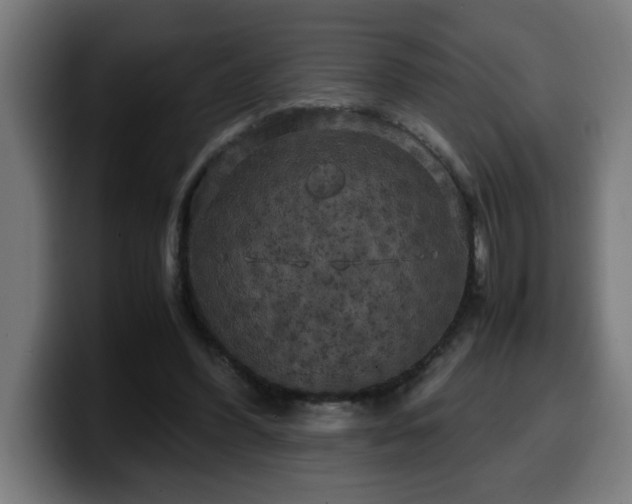 X0000100490396200806131254