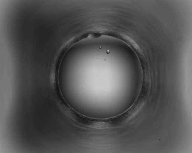 X0000100490399200806131254