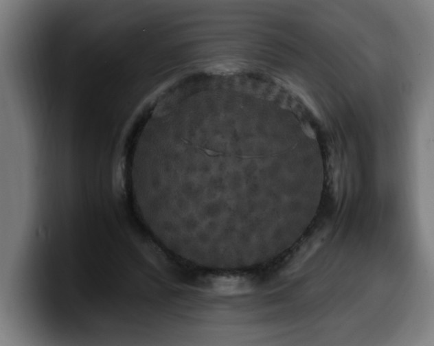 X0000100490400200806131254