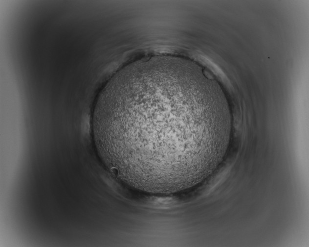X0000100490401200806131254