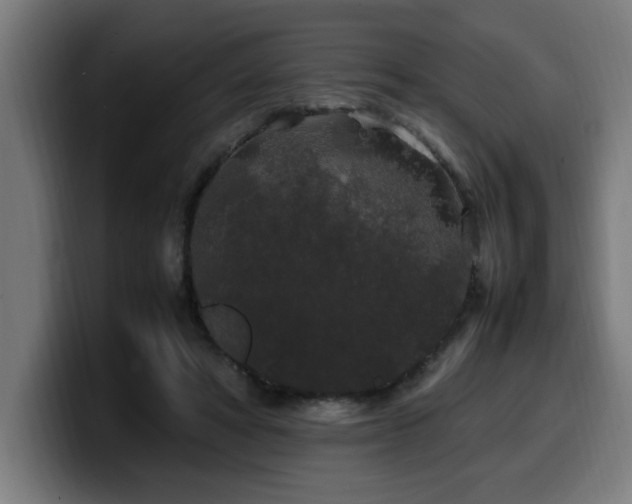 X0000100490402200806131254