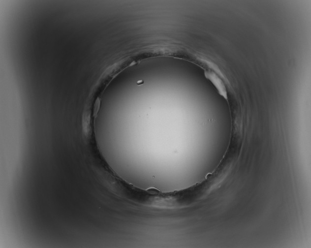 X0000100490403200806131254