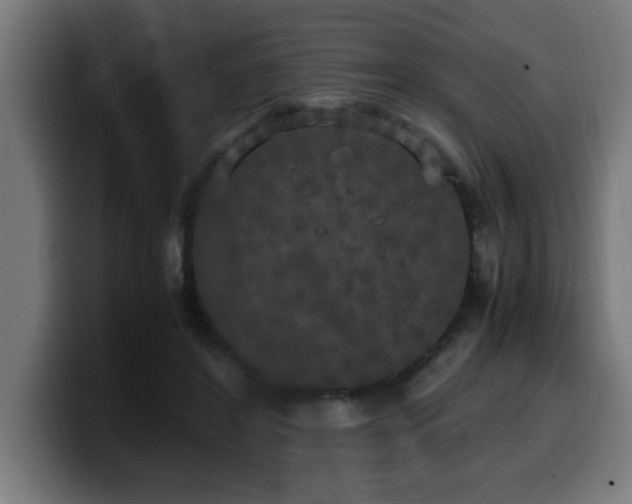 X0000100490404200806131254