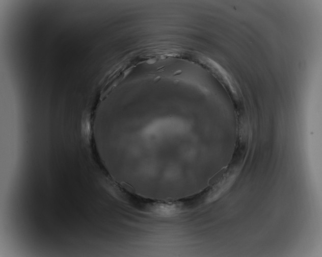 X0000100490405200806131254