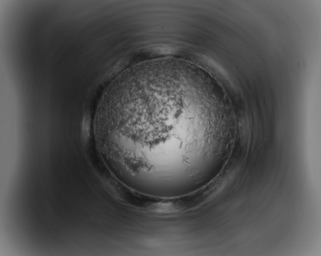 X0000100490406200806131254