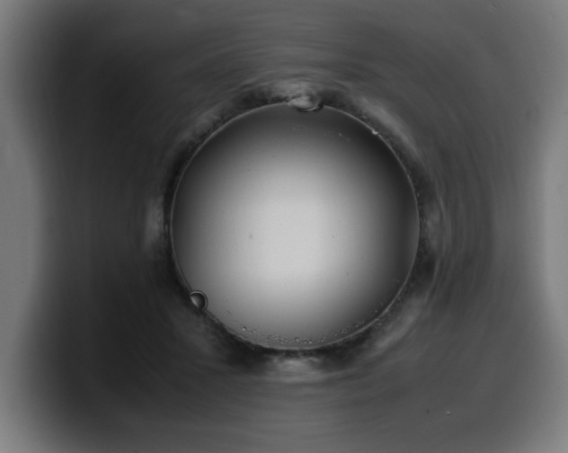 X0000100490407200806131254