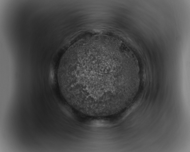 X0000100490408200806131254