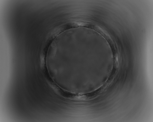X0000100490410200806131254