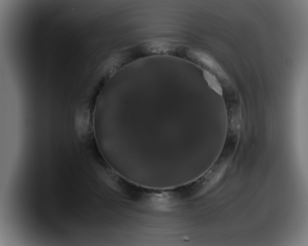 X0000100490411200806131254