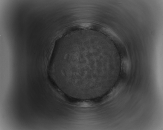 X0000100490412200806131254