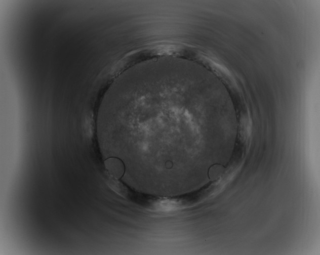 X0000100490413200806131254