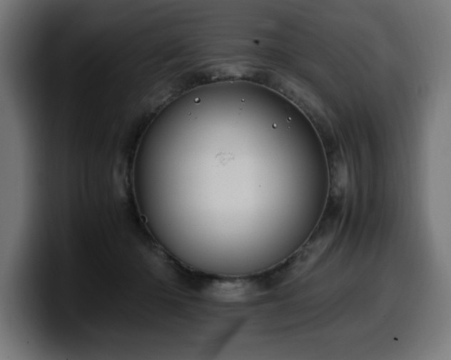 X0000100490414200806131254