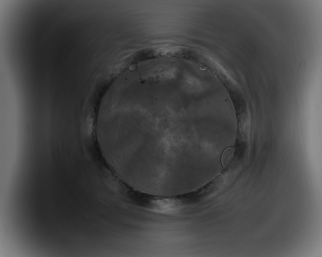 X0000100490417200806131254