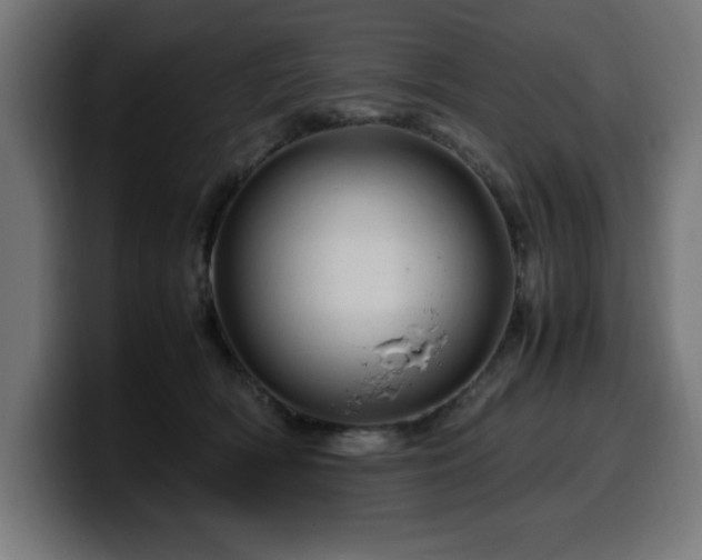 X0000100490418200806131254