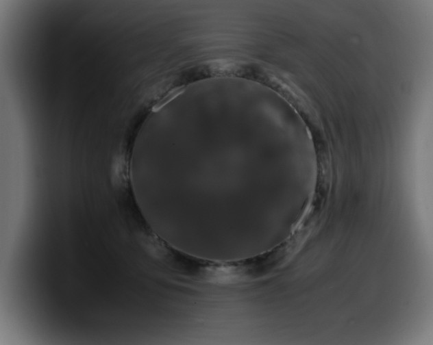 X0000100490419200806131254