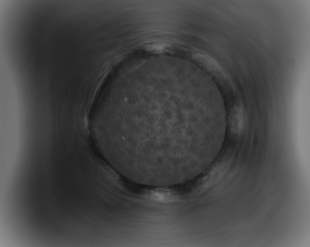 X0000100490420200806131254