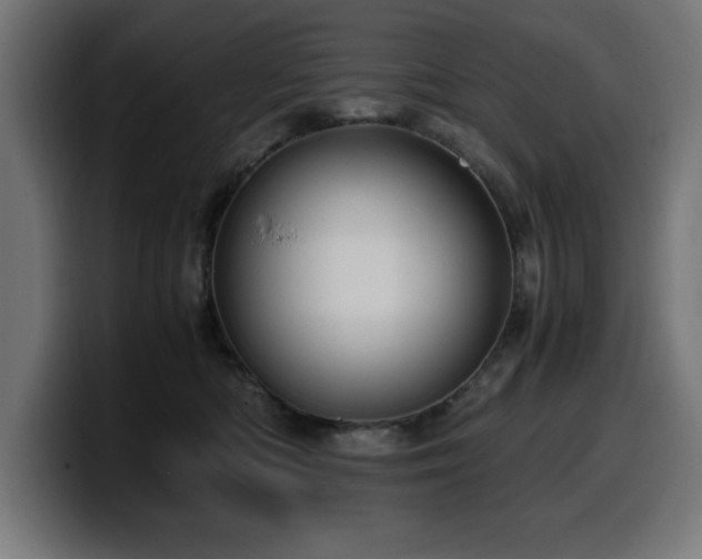 X0000100490422200806131254