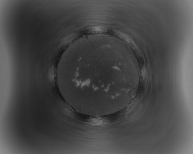 X0000100490423200806131254