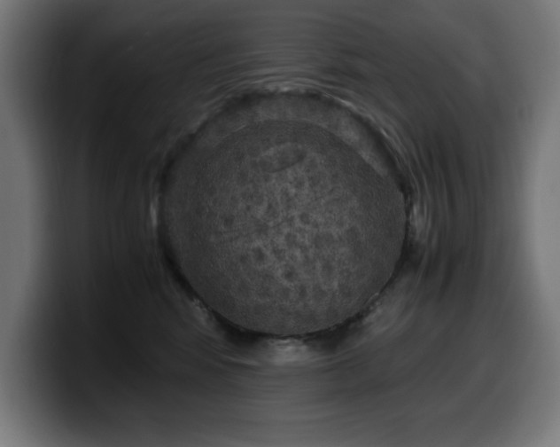 X0000100490424200806131254
