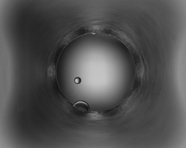 X0000100490425200806131254