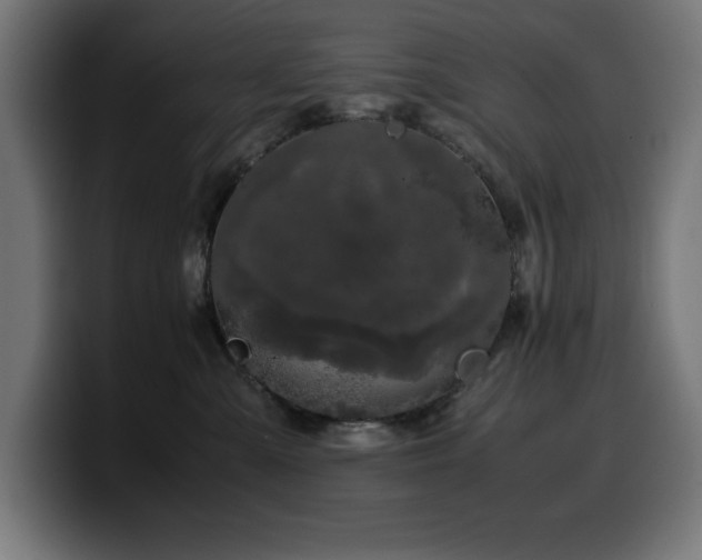 X0000100490427200806131254