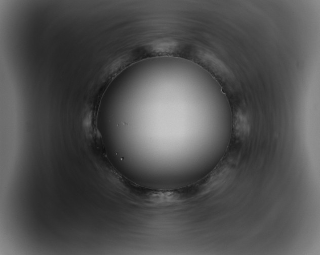 X0000100490428200806131254