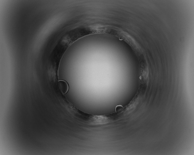 X0000100490429200806131254