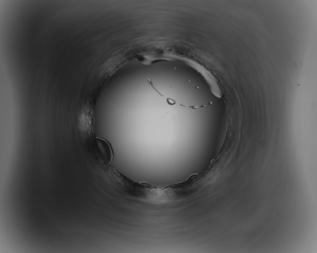 X0000100490432200806131254