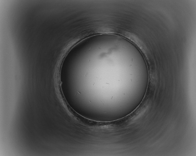 X0000100490433200806131253