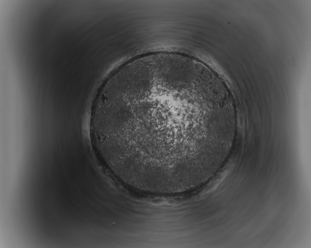 X0000100490434200806131253