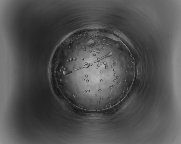 X0000100490436200806131253