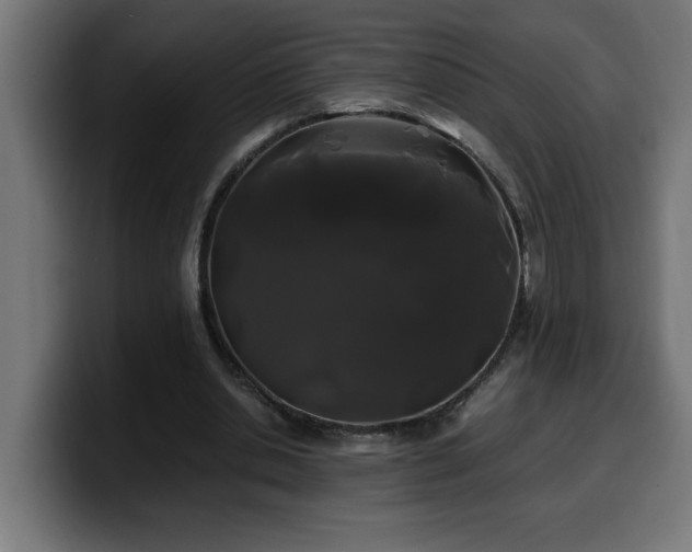 X0000100490438200806131253