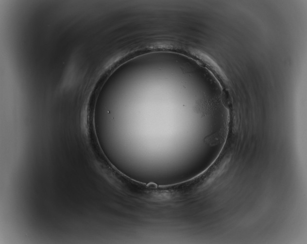 X0000100490439200806131253