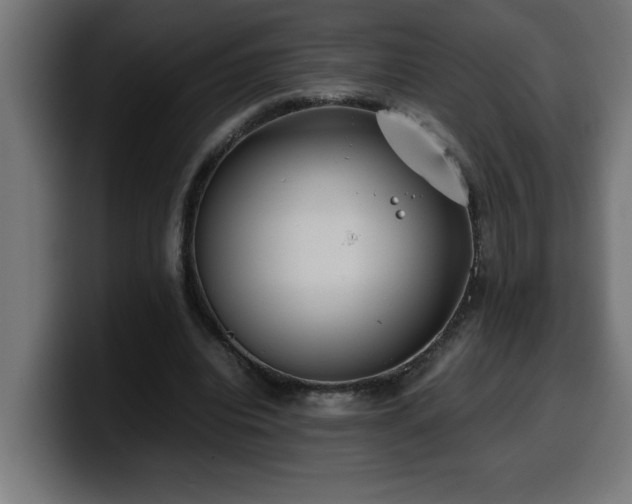 X0000100490440200806131253