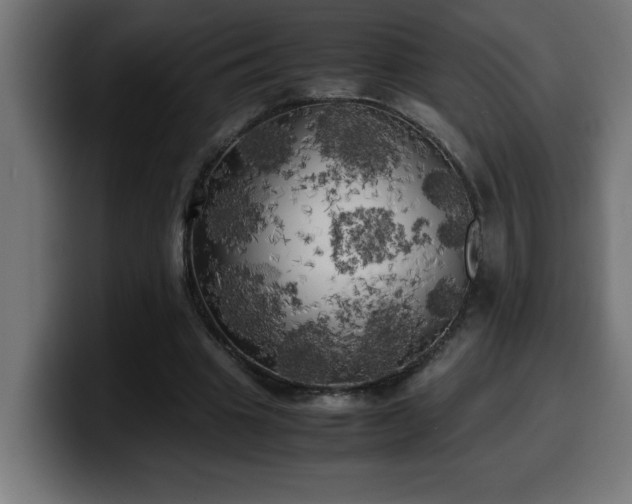 X0000100490441200806131253
