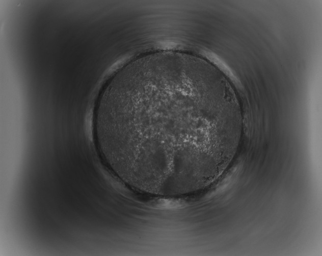 X0000100490442200806131253