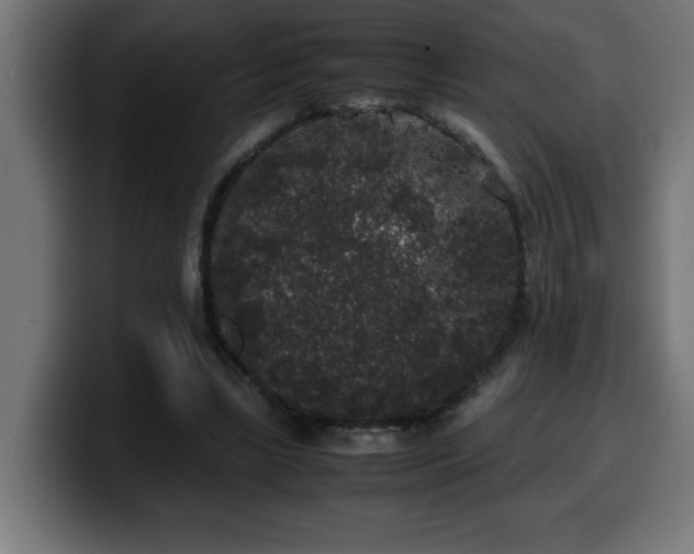 X0000100490443200806131253