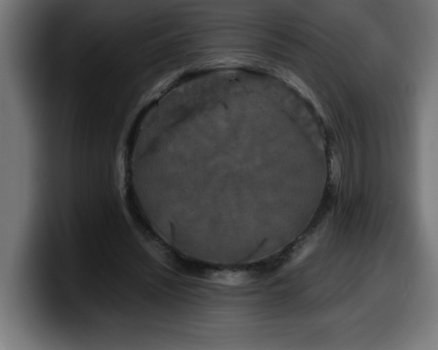 X0000100490444200806131253