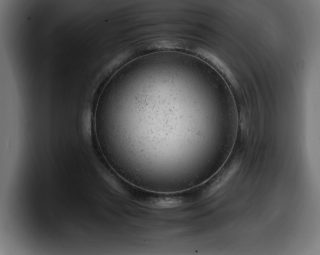 X0000100490445200806131253