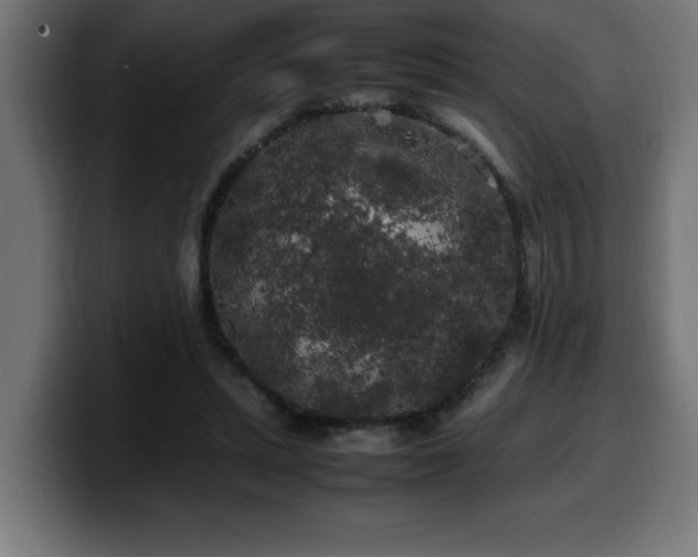 X0000100490447200806131253