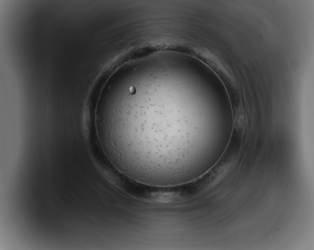 X0000100490448200806131253