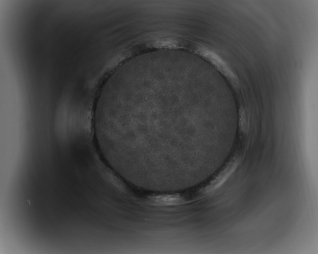 X0000100490449200806131253