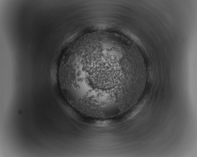 X0000100490450200806131253