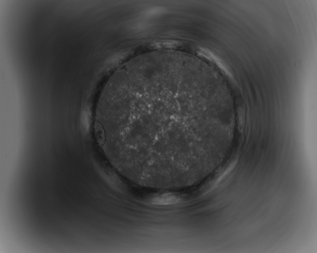 X0000100490451200806131253