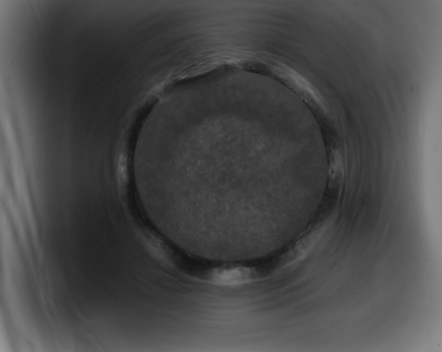 X0000100490452200806131253