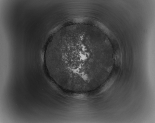 X0000100490454200806131253