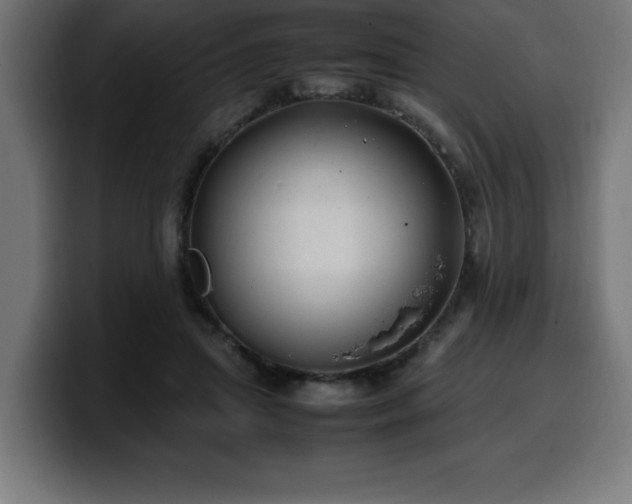 X0000100490455200806131253
