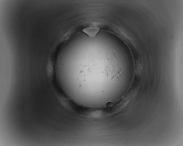 X0000100490456200806131253